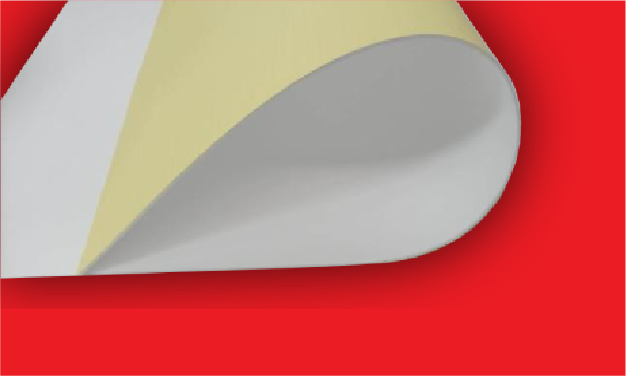 Folha PTFE Expandido AVKO eC ADH