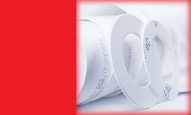 Folha PTFE Expandido AVKO eC